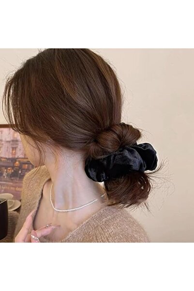 GENERAL 1Pc Black Velvet Scrunchie with Zipper Pocket, Hidden Storage Hair Ti...