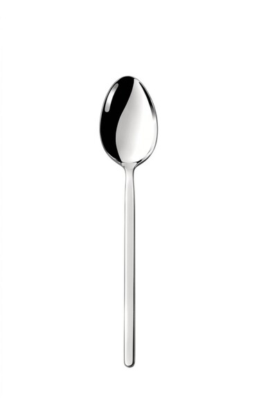 Nehir Alina Dining Spoon - 12 Pcs Stainless Steel Dining Spoons