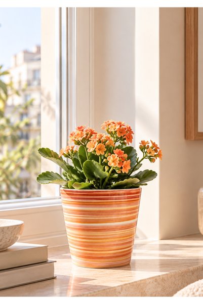 HOMİNG Sunny Renkli Seramik Saksı 13 cm