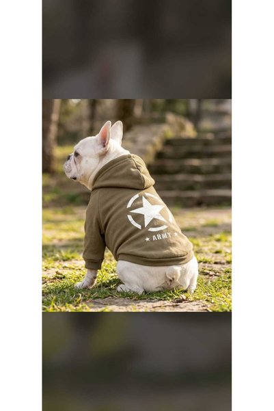 atelyu Cat Dog Outfit Khaki Star Printed Sweatshirt