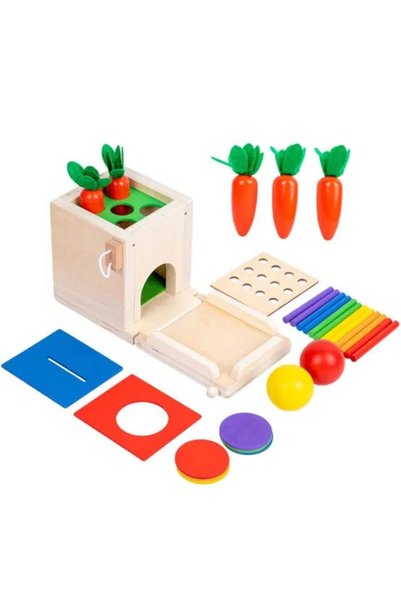 Montessori Wooden Shape and Color Sorter Cube – Early Education 1–3 Years