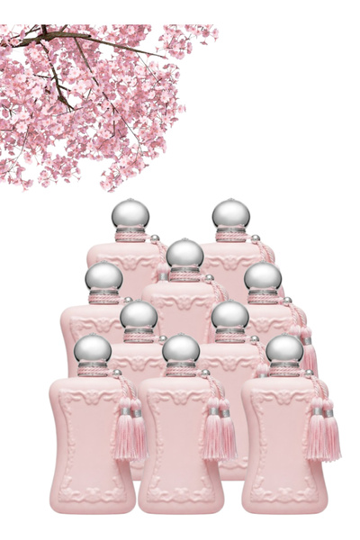 Youmar Collection 10 قطع Rose Rash Perfume 100 مل