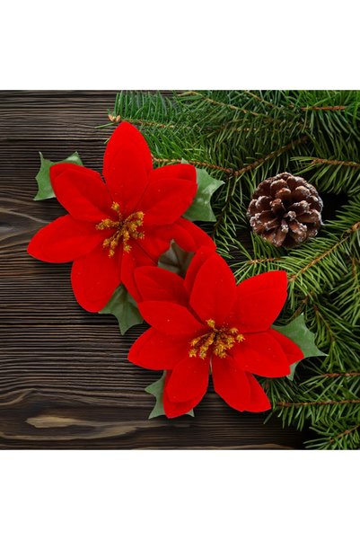 FAMİLY Floare Poinsettia, rosie, 13x13 cm, set 2 bucati, floare artificiala
