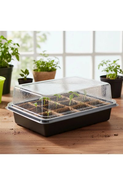 OEM Tava rasaduri cu capac transparent, 12 celule, 20 x 15 x 10 cm, kit germi...