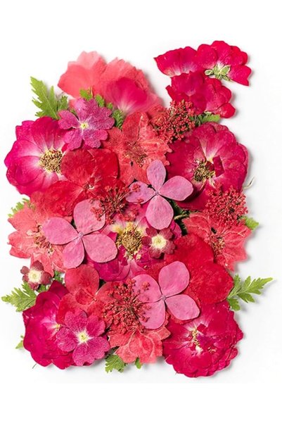 Generic 35 Pcs Dried Pressed Flowers for Resin, Real Pressed Flowers Dry Leav...