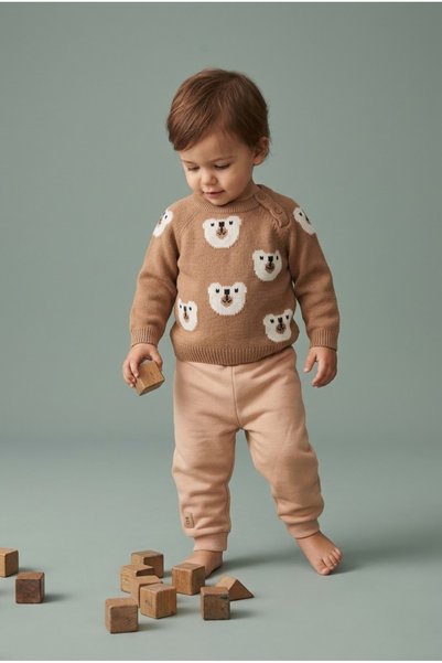 zumino Baby Teddy Bear Patterned Knitwear Sweater and Jogger Set