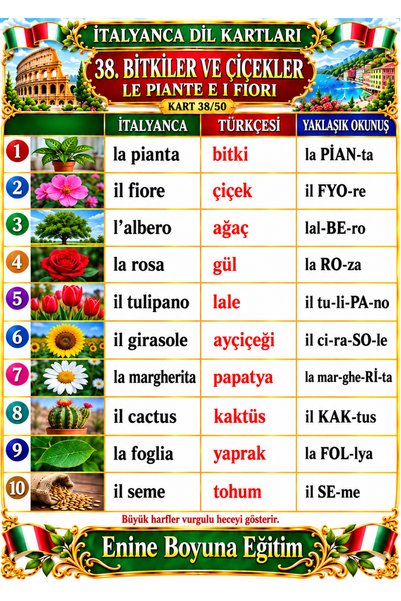 Enine Boyuna Eğitim Italian Language Cards with Chain