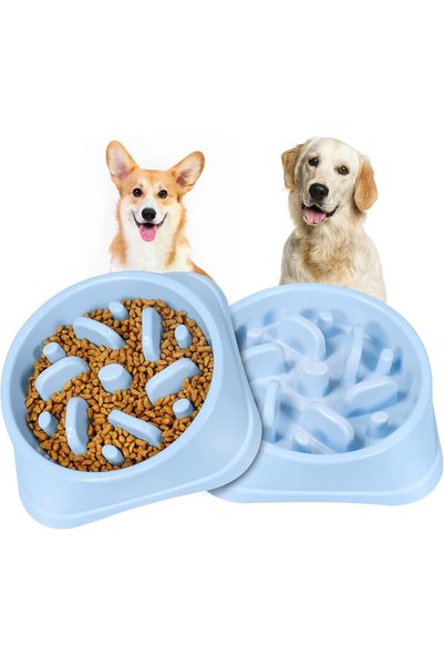 Arabest Slow Feeder Dog Bowl for Small and Medium Dogs,Anti-Slip Interactive ...