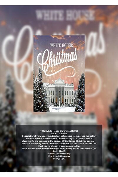 OEM Christmas White House Infographic Poster, Holiday Decoration, 250g Cardbo...