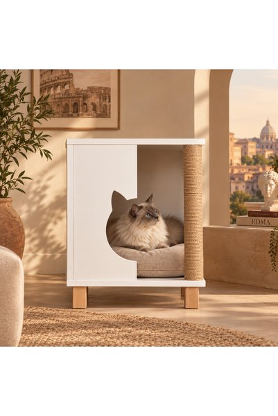 YAPIYO KEDİ CLASS KOMİDİN EVİ