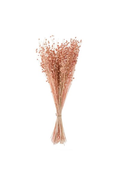 OEM Buchet Decorativ cu Planta Seminte Roz 50cm
