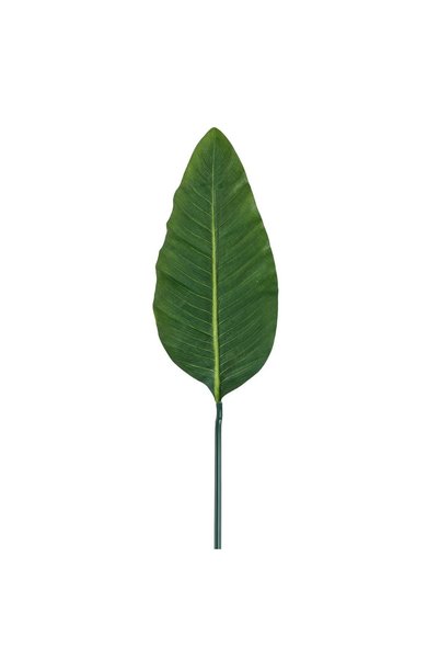 OEM Frunza de Bananier 103cm - Frunze Decorative, Decoratiuni Casa