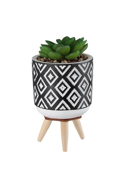 OEM Ghiveci Decorativ cu Picioruse Negru & Planta Ø7x14cm - Ghivece Decorativ...
