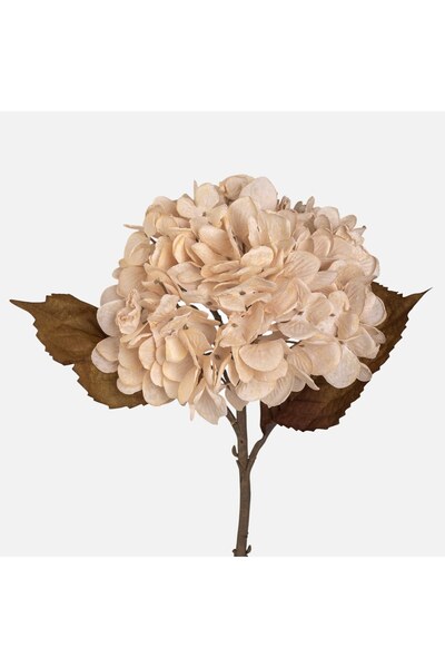OEM Floare cu Tulpina Scurta Hortensie Crem 46cm - Flori Toamna, Decoratiuni ...