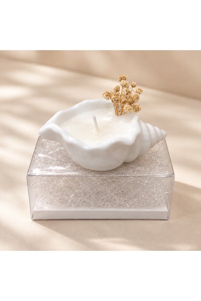 Generic Brand Customized White Seashell Candles in Transparent Gift Boxes – 1...