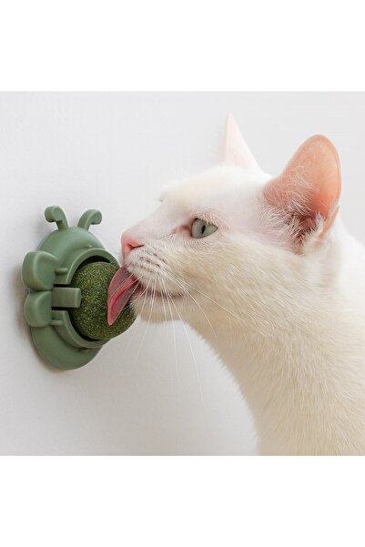 OEM Jucarie de Perete Model Fluture Verde cu Catnip pentru Pisica
