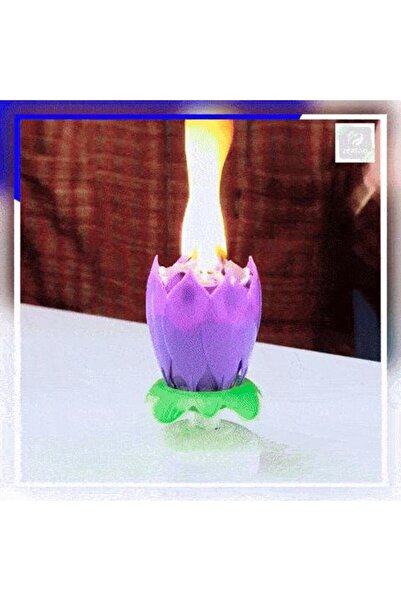 OEM Decorarea tortului cu lumânări