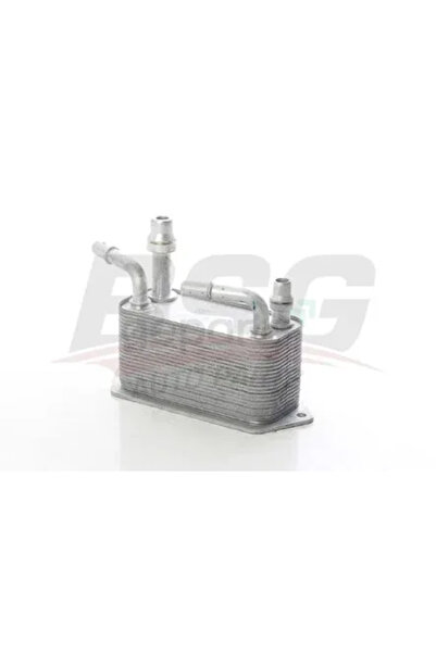 BSG Sanziman Yag Sogutucu Land Rover Range Rover 2 - 3 2007