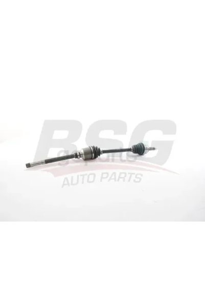 BSG Aks Komple On Sag 307/C4/PARTNER Tepee / BERLINGO 2004