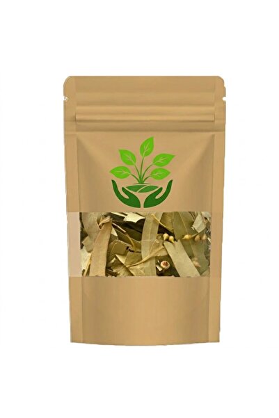 tan organik Branded Eucalyptus Leaf (Eucalyptus Globulus) 75 Gr