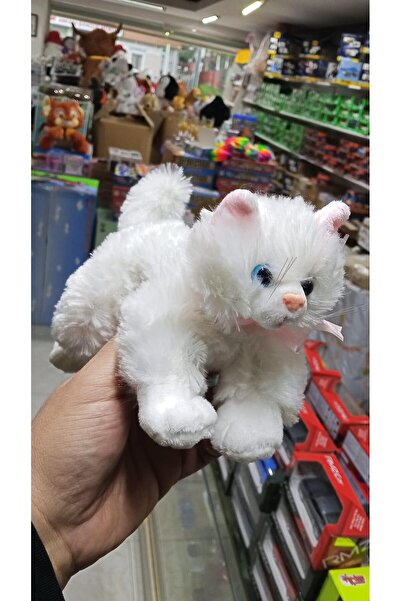 Bengi Store Toy Plush Cute Snow White Cat with Colorful Eyes 22 cm