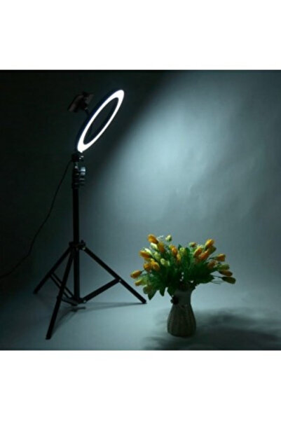 OEM Lampa circulara cu suport selfie, putere de 60W pentru foto, make-up, cos...