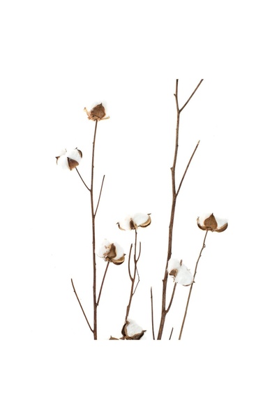 OEM Crenguțe Artificiale de Bumbac, Set 4 buc., 95 cm, Decor Elegant de Crăciun