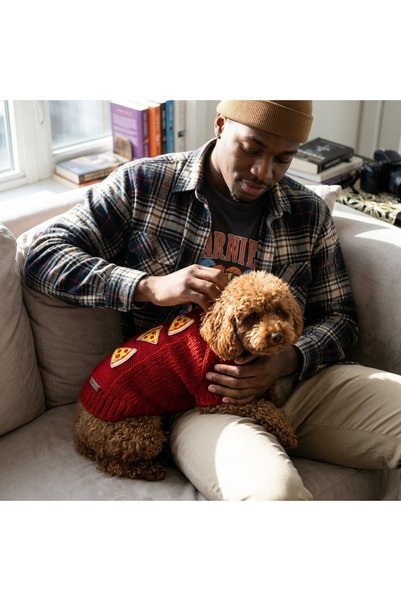 Lady Fify Red Sweater with Pizza for Cat and Dog