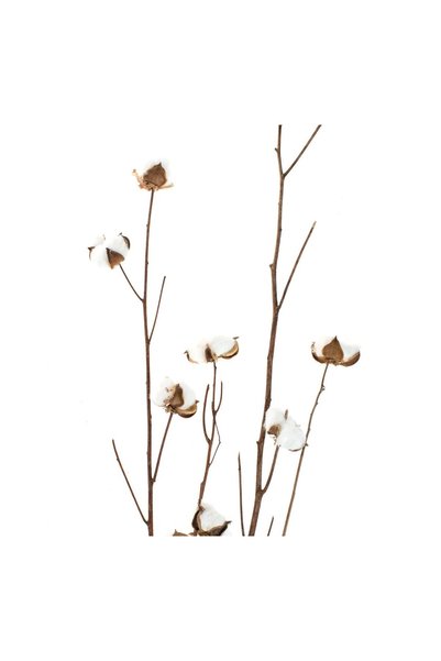OEM Crenguțe Artificiale de Bumbac, Set 4 buc., 95 cm, Decor Elegant de Crăciun