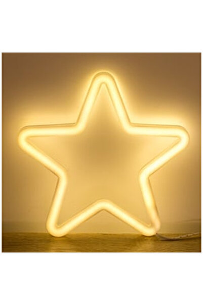 OEM Christmas Star with LED Neon 25x25cm