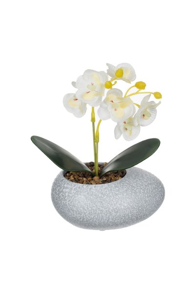 OEM Ghiveci pentru flori Decorativ cu Planta Artificială Orhidee 12x10x18 cm