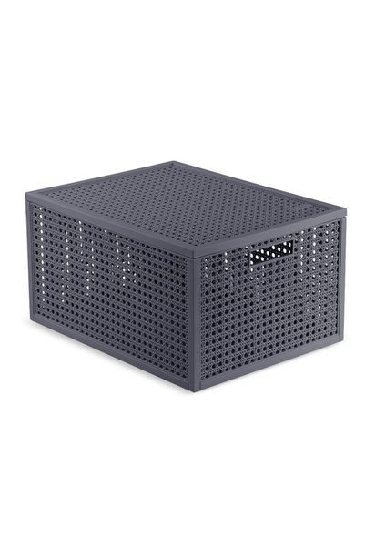 CURVER COȘ DE DEPOZITARE ORGANIZATOR CU CAPAC 20L GRI