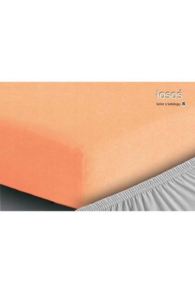 Matex Cearșaf de pat Frotte cu elastic 110/120x190/200 PREMIUM Somon