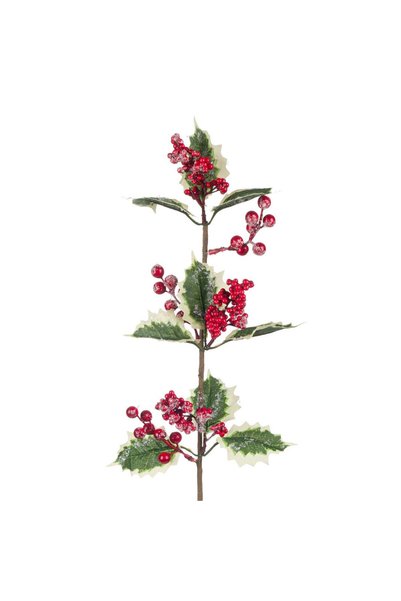 DD SHOP Crenguta Decorativa de Craciun Vasc cu Fructe Rosii Ninse 65cm