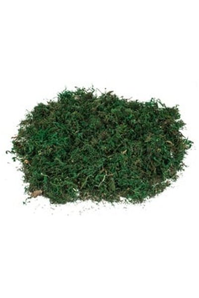 OEM Green Decorative Iraba for Christmas Nativity Scenes 100g
