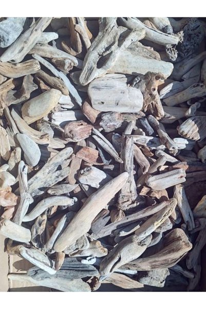 Makri Driftwood Deniz Sahil Odunu Lodos Tahtası Tip 4 (Kabuk Benzeri Parçalar)