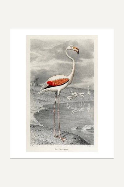 Vintage Flamingo No. 6 Temperli