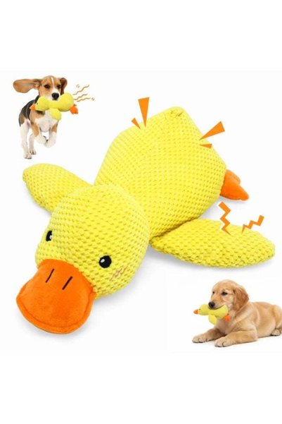 Arabest Squeaky Duck Dog Toy, Pineapple Plush Crinkle Interactive Chew Toy fo...