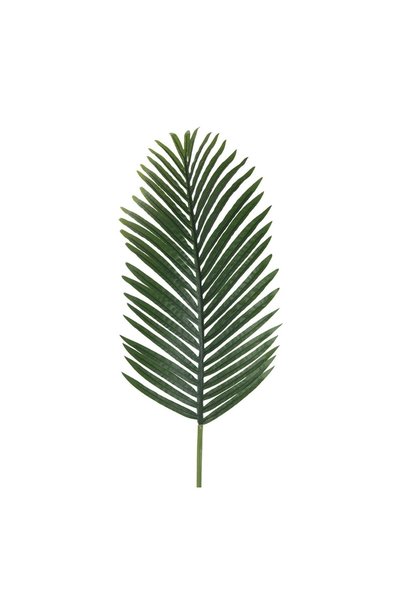 OEM Ramură Artificială de Palmier 150 cm – Decor Realist pentru Casă și Eveni...