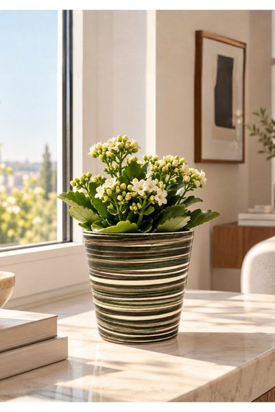 HOMİNG Sunny Renkli Seramik Saksı 13 cm