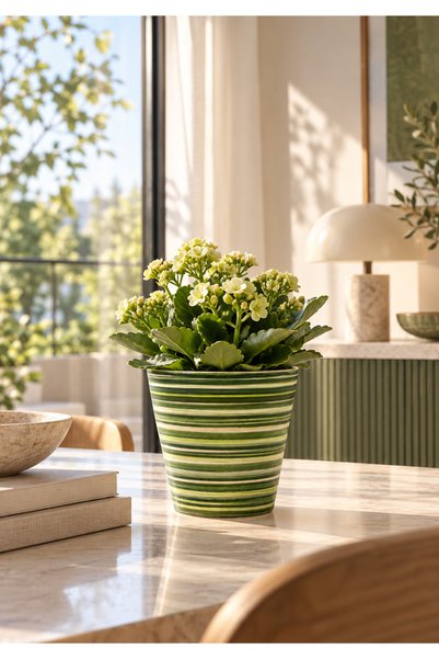 HOMİNG Sunny Renkli Seramik Saksı 13 cm
