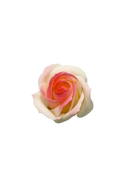Ambalaje Flori Online Set 50 Trandafiri Sapun Parfumati Atingere Reala Varf Crem Corai