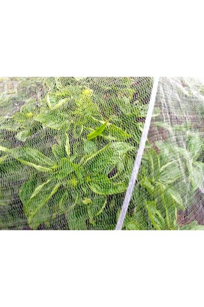 Generic Brand PLASA PROTECTIE INSECTE