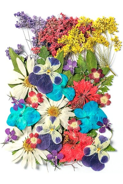 Generic 35 Pcs Dried Pressed Flowers for Resin, Real Pressed Flowers Dry Leav...