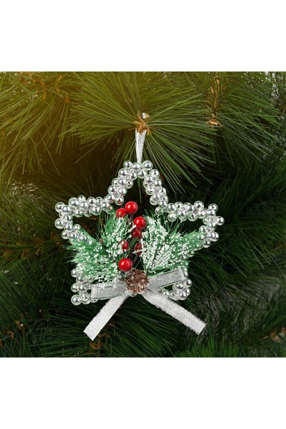 FAMİLY Decoratiune Craciun stea argintie, 10 cm