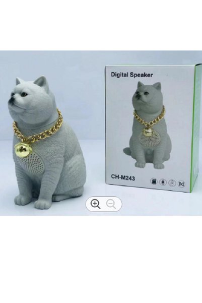 Cat Ασύρματο Φορητό Ηχείο Product CH-M243 Super Bass Στερεοφωνικό