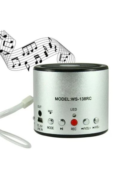 OEM Φορητό ηχείο WS-138RC με microSD/USB Player και ραδιόφωνο σε ασημί χρώμα