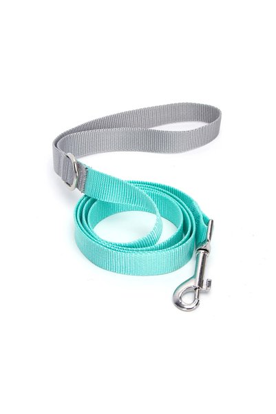 OEM Δίχρωμος οδηγός για σκύλους W1.0*L120 εκ. Small γκρί/Γαλάζιο