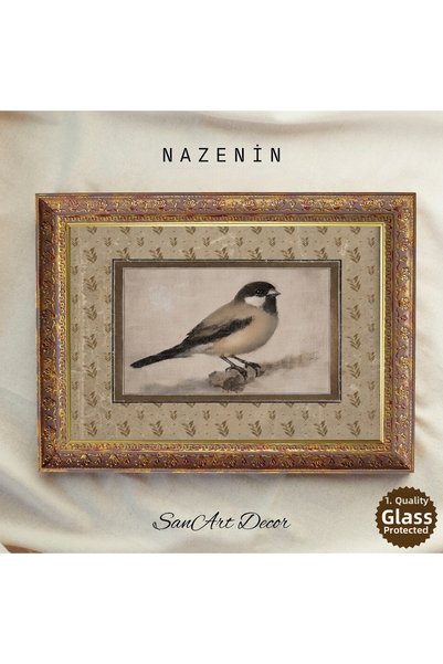 Sanart Vintage Bird Illustration Antique Framed Painting, Vintage Decor, Nost...