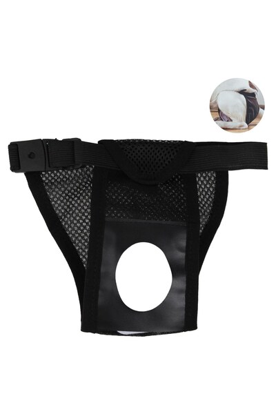 DD SHOP Chiloti de Protectie Negri pentru Caini - Produse Igiena Intima, Pet ...